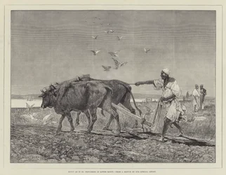 Egipto tal como es, arando en el Bajo Egipto